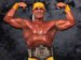 Hulk Hogan 2.jpg